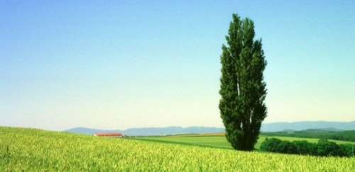 お役立ちリンク集画像